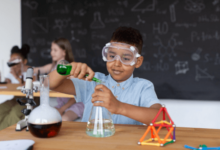 STEM Education and Digital Skills for the Future: Preparing the Next Generation