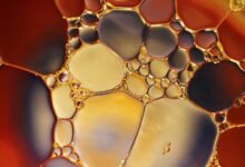 class 10 chemistry exam pattern