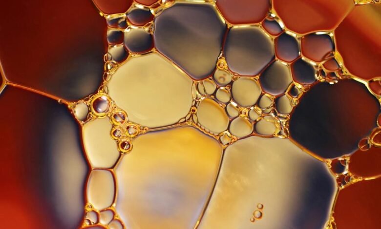 class 10 chemistry exam pattern