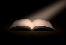 punjab educational endowment fund