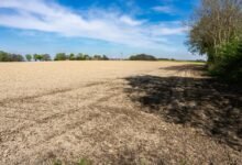 sahiwal tomorrow s weather forecast