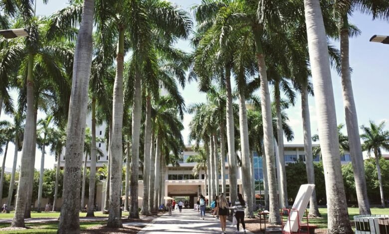 top hyderabad colleges 11th 12th
