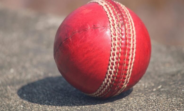 cricket betting review insights