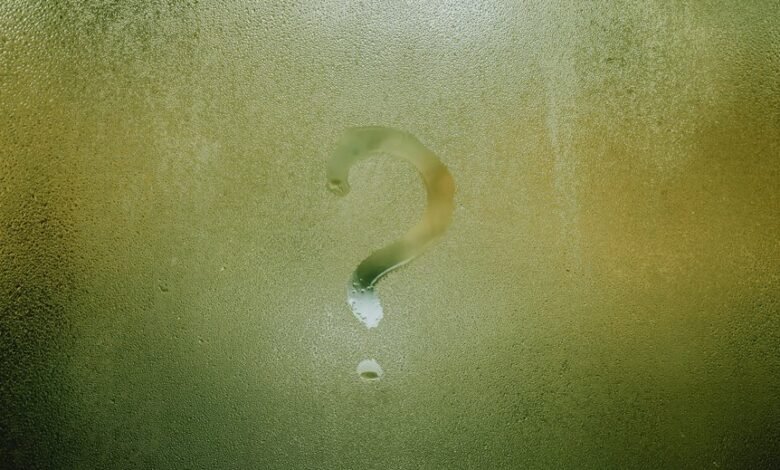 phone number inquiry meaning