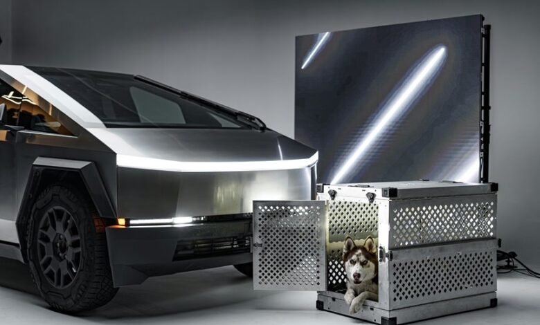 tesla s impact on china