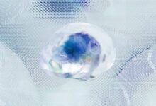 data intelligence panel analysis