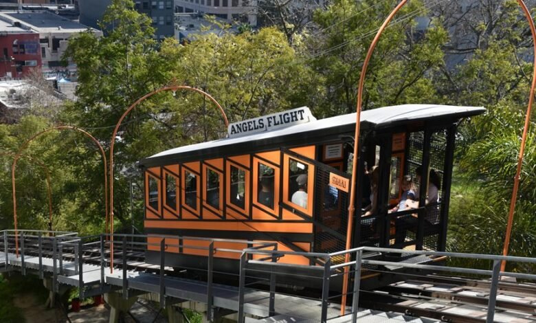 elevate your marketing platform