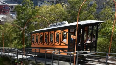 online marketing elevation platform