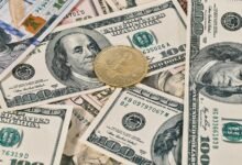 professional digital system stability assessment