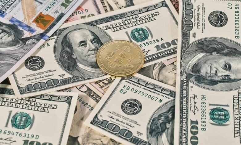 professional digital system stability assessment