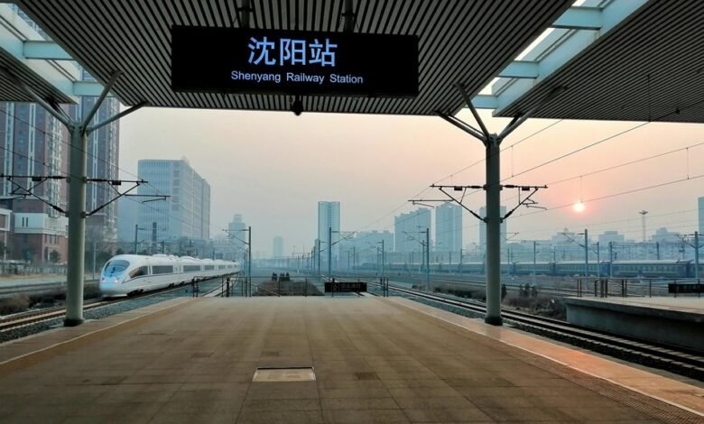 professional online system 3144710080 efficiency