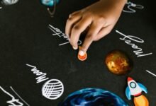 professional web system expansion initiative