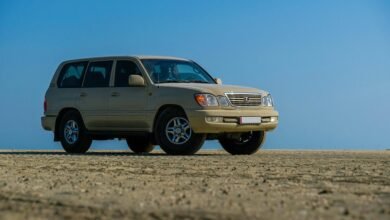 reliable web architecture stability for 501526870